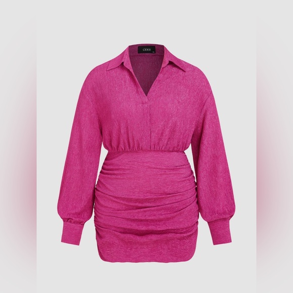 NWT Cider Fushcia Collar Ruched Mini Shirt Dress Curve & Plus - Picture 2 of 7